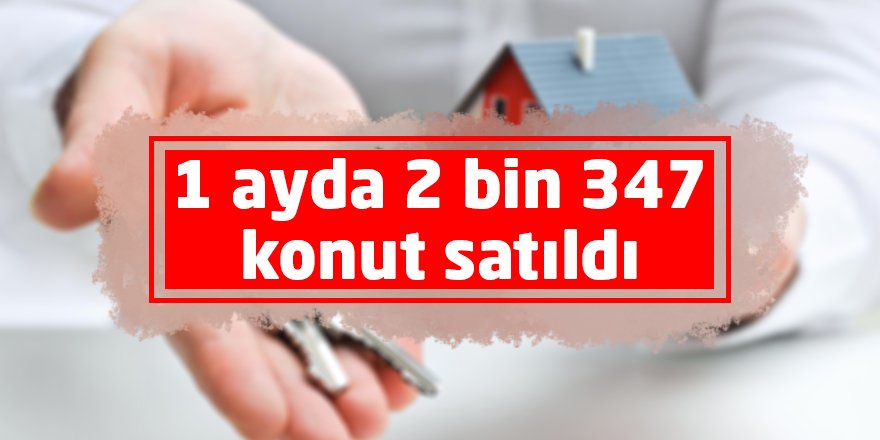 1 ayda 2 bin 347 konut satıldı