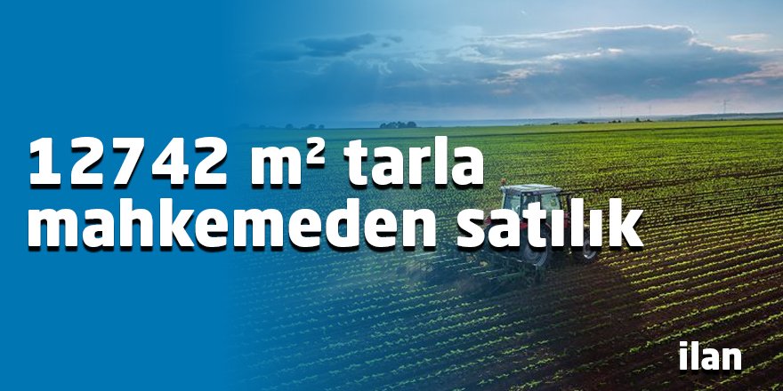 12742 m² tarla mahkemeden satılık