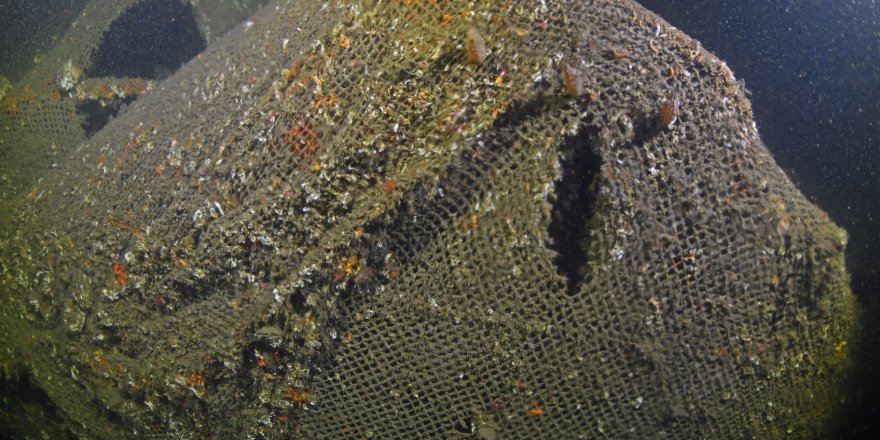 İzmit Körfezi'nde hayalet ağlar görüntülendi