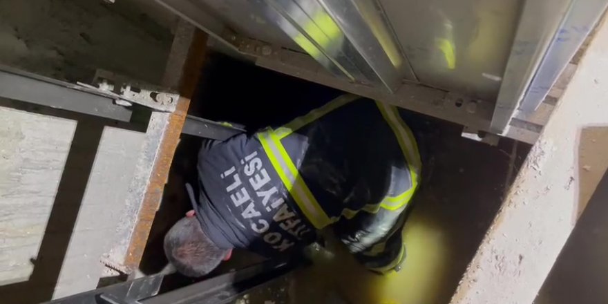 Yavru köpeklerin imdadına itfaiye yetişti!