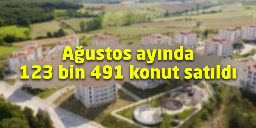 Ağustos ayında 123 bin 491 konut satıldı