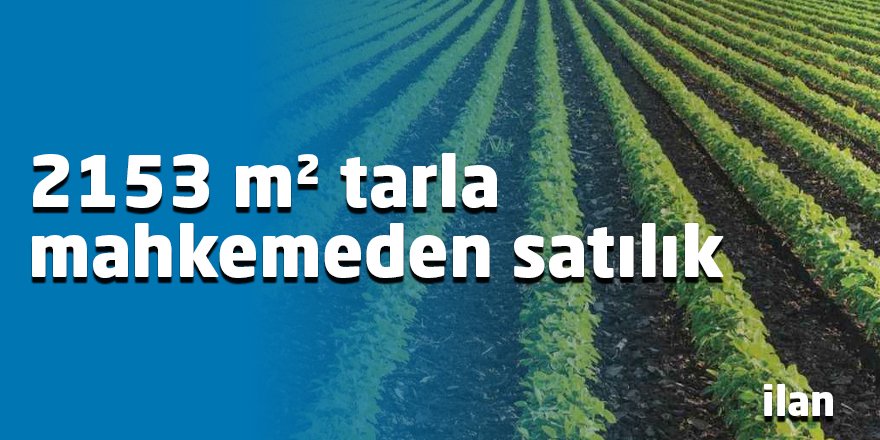 2153 m² tarla mahkemeden satılık