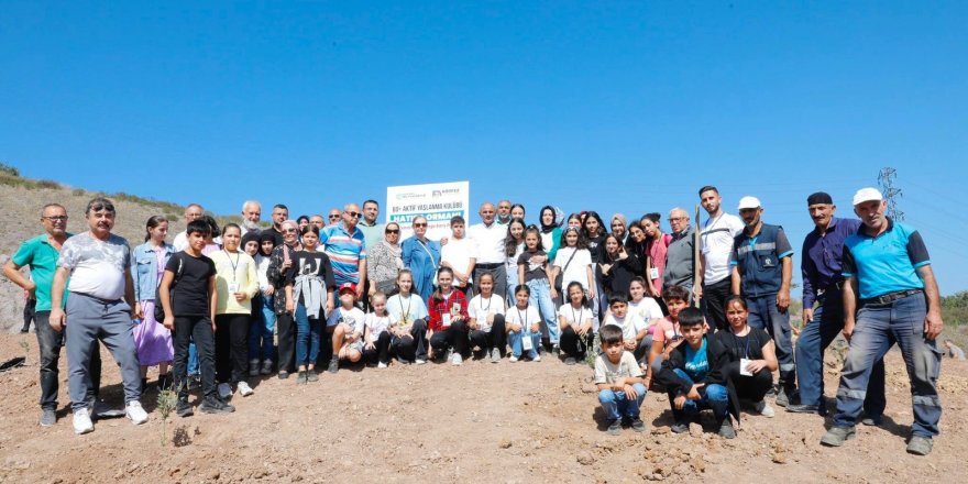 Çınarlardan hatıra ormanı