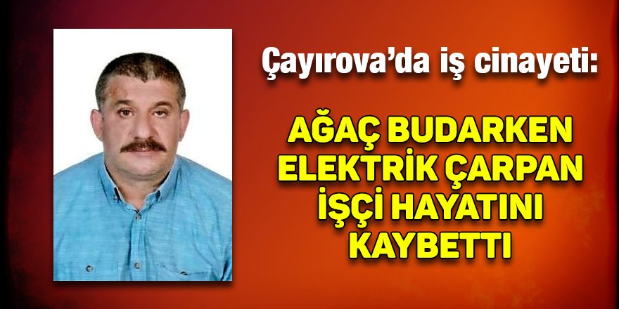 Ağaç budarken elektrik çarpan işçi hayatını kaybetti