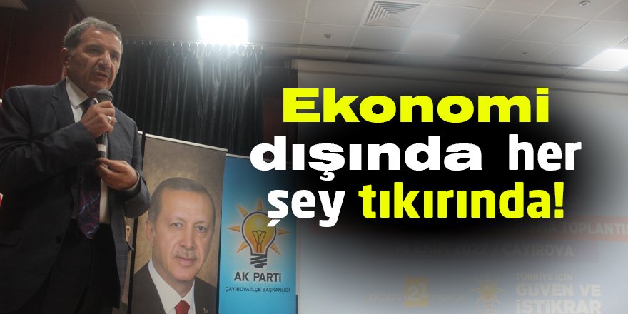 Ekonomi dışında her şey tıkırında!