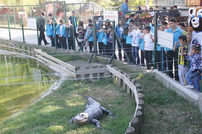 Sporcular Darıca Hayvanat Bahçesini Gezdi