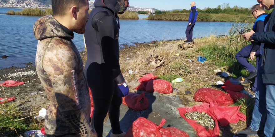 Kaçak midye avcıları, suçüstü yakalandı