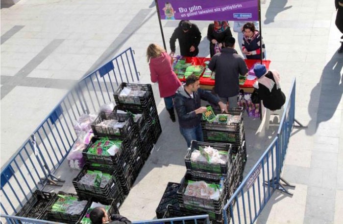 Büyükşehirden 2,5 TL’ye lale satışı