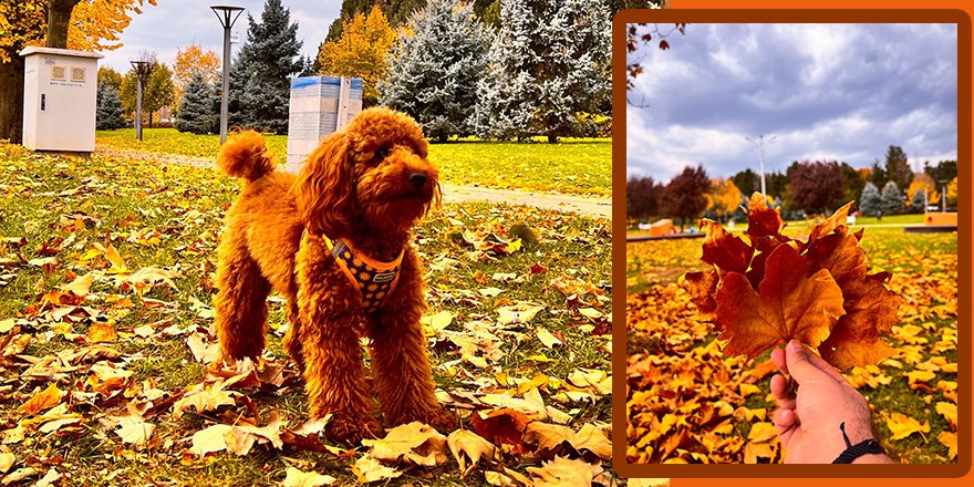 Sekapark'ta kartpostallık manzaralar