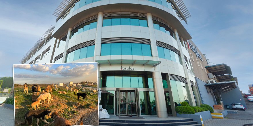 Farplas’ta yemek atığı sokak hayvanlarına ayrışıp ulaşıyor