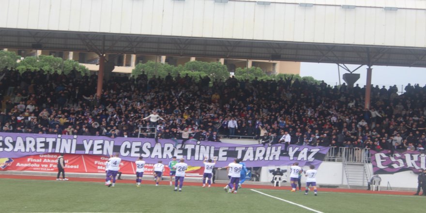 Menekşe bir attı pir attı