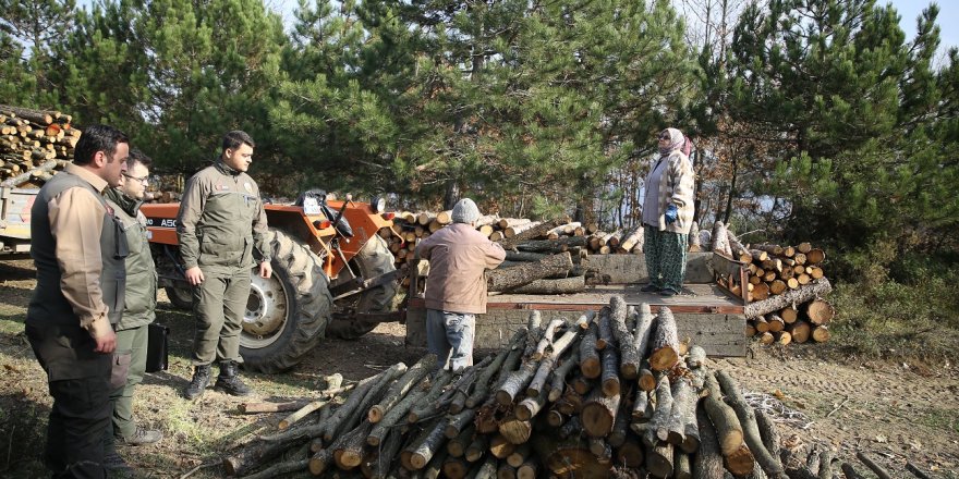 Köylülere yaklaşık 170 bin ton kışlık odun dağıtıldı