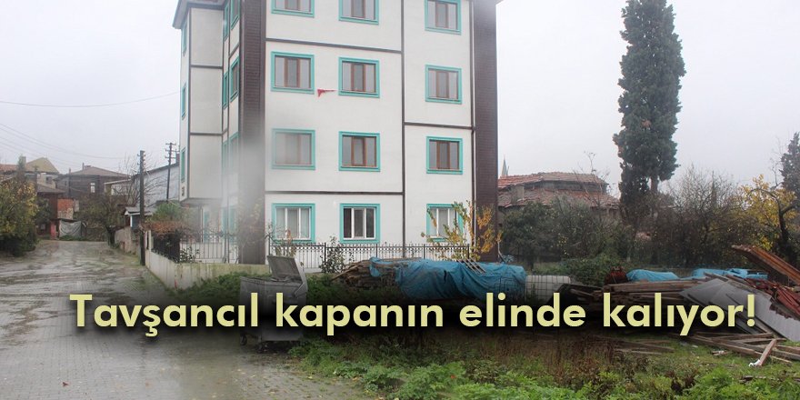 Tavşancıl kapanın elinde kalıyor!