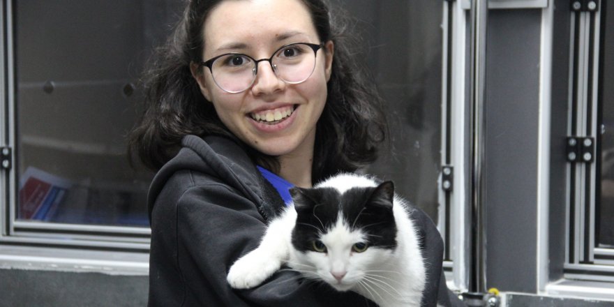 Kocaeli'de 19 bin 445 hayvanın kimliklendirildi