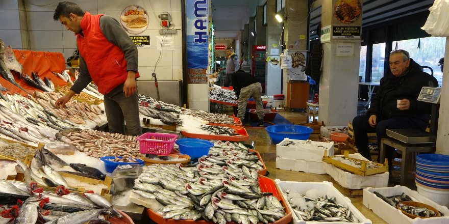 Hamsinin fiyatı 110 TL'den 60 TL'ye düştü