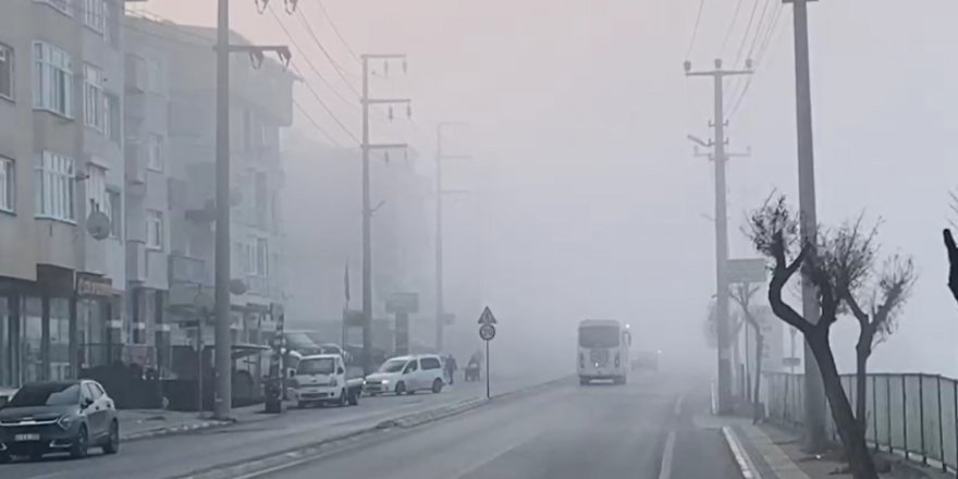 Darıca'da sis etkili oldu