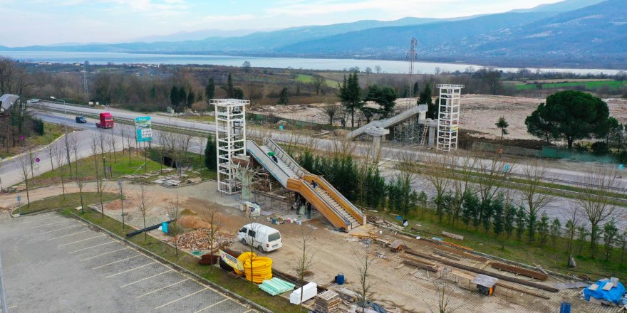 Ormanya’ya doğa temalı üst geçit