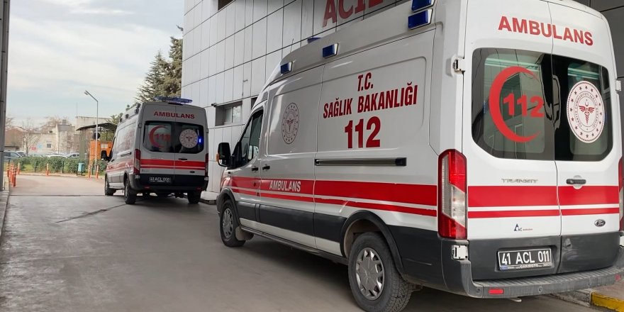 Sesler kavga zannedildi, gerçek bambaşka çıktı