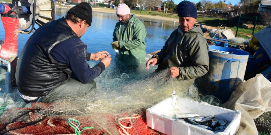 Karadeniz’in incisi çinekop, yüzleri güldürdü