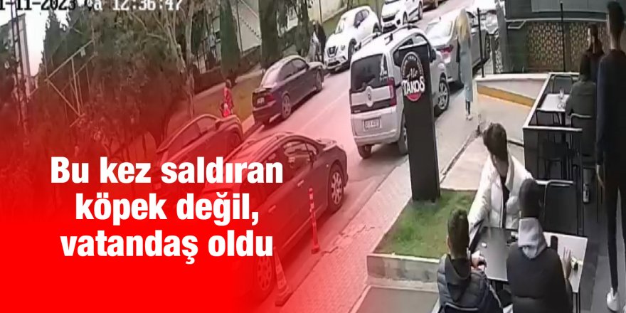 Bu kez saldıran köpek değil, vatandaş oldu