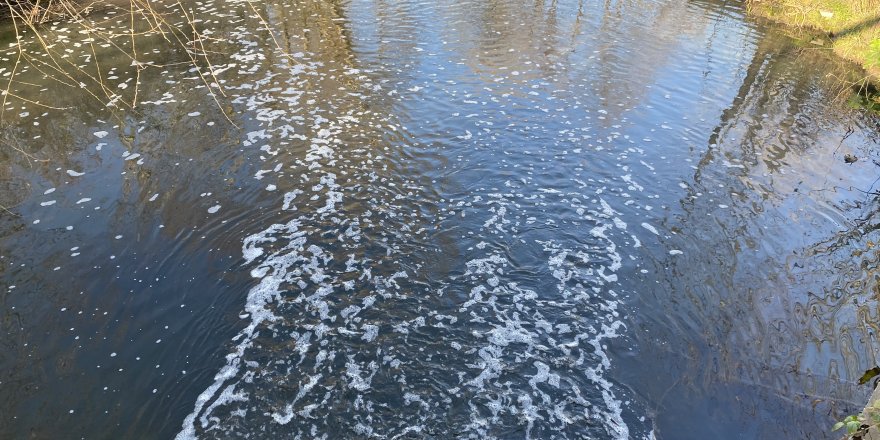 Siyaha bürünen dere endişe oluşturdu