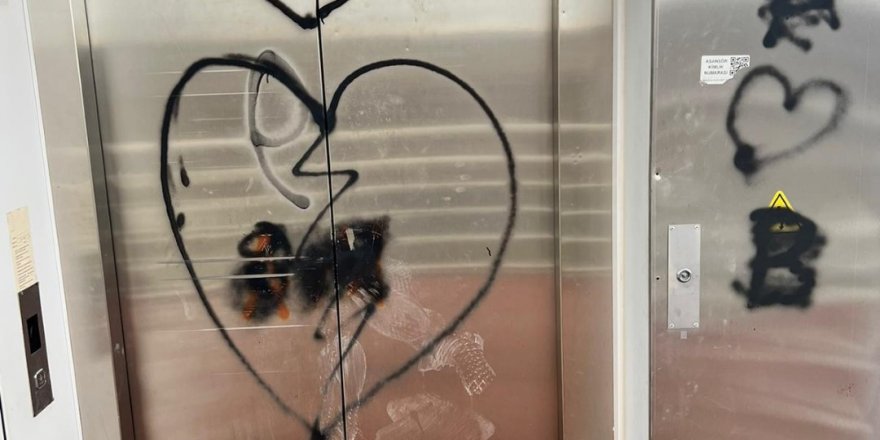 Şehidin adını taşıyan yaya geçidini boyadılar