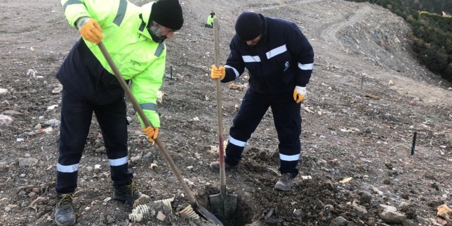Dereköy’e bin ağaç fidanı dikilecek