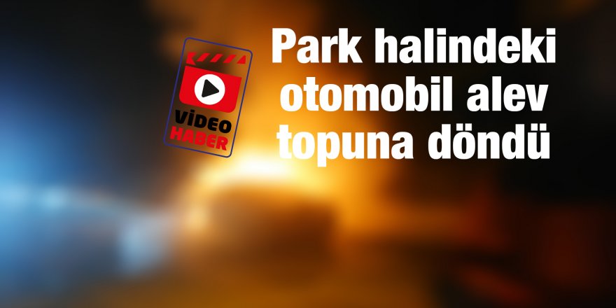 Park halindeki otomobil alev topuna döndü