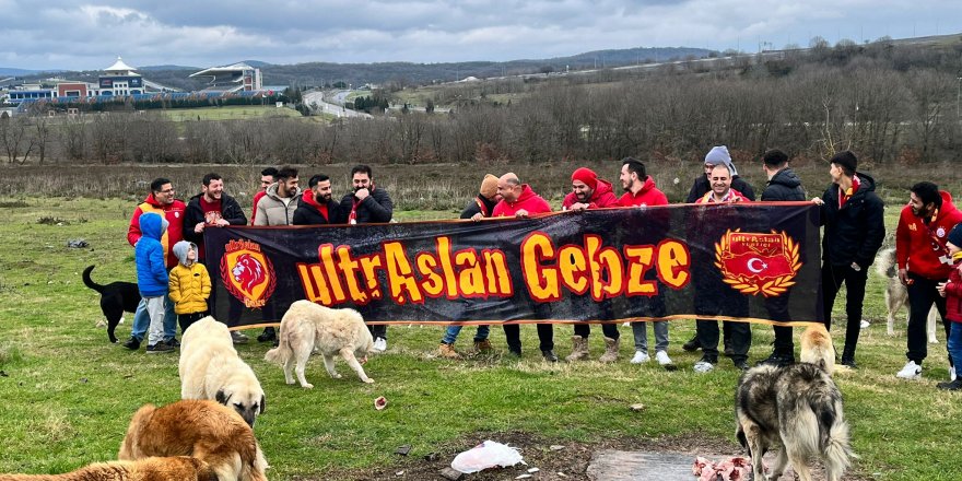 “Sokak hayvanlarına yaşama hakkı tanıyalım”
