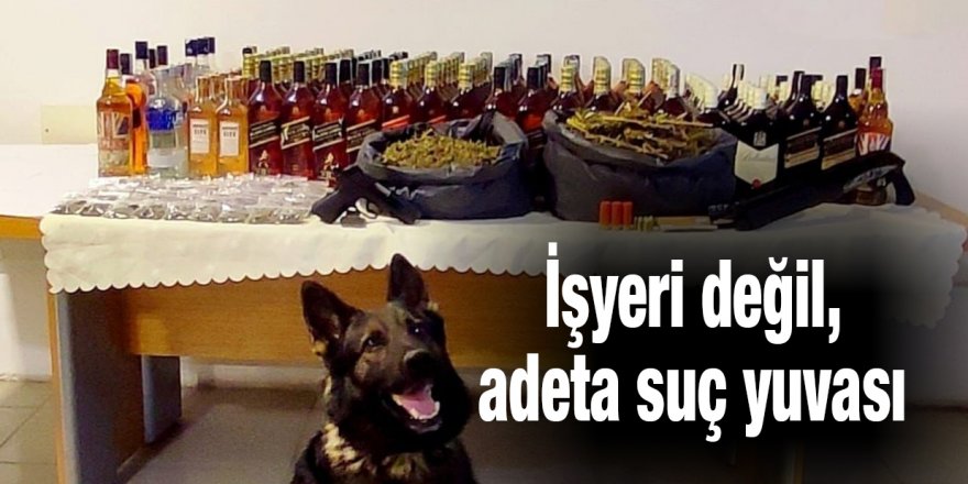 İşyeri değil, adeta suç yuvası