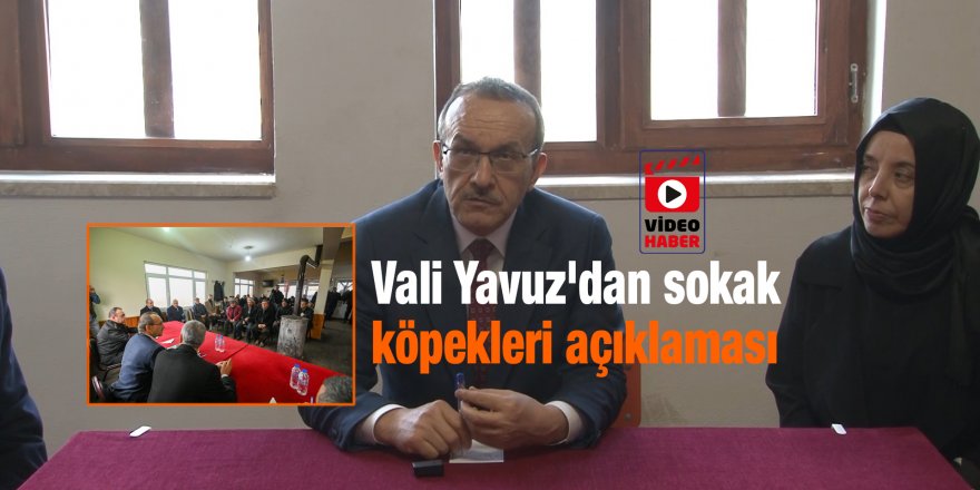 Vali Yavuz'dan sokak köpekleri açıklaması