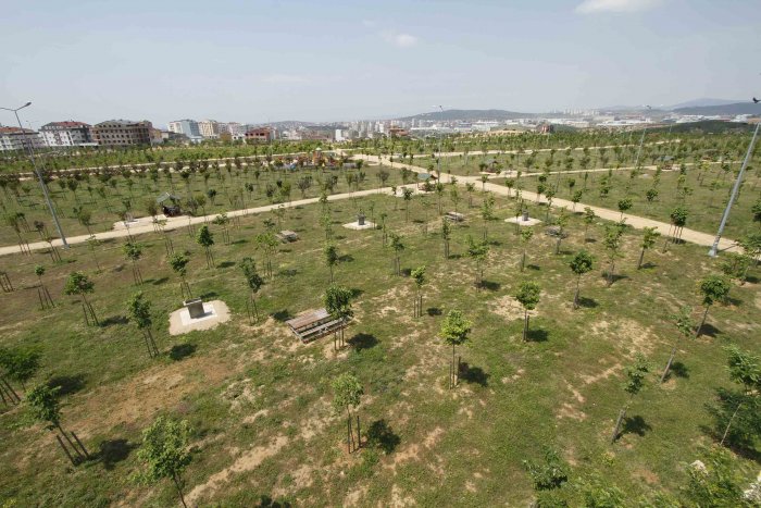 37 santimetrekare yeşilden, 1100 santimetrekareye