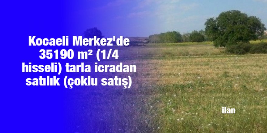 Kocaeli Merkez'de 35190 m² (1/4 hisseli) tarla icradan satılık (çoklu satış)
