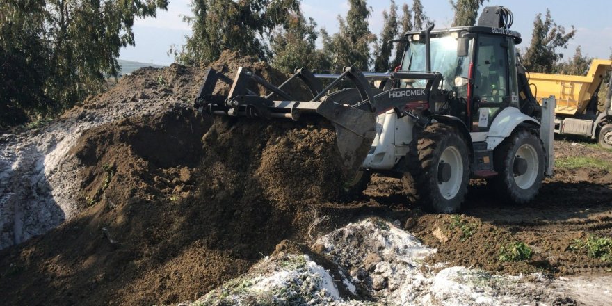 Depremde telef olan hayvanlar hastalık riskine karşı gömüldü