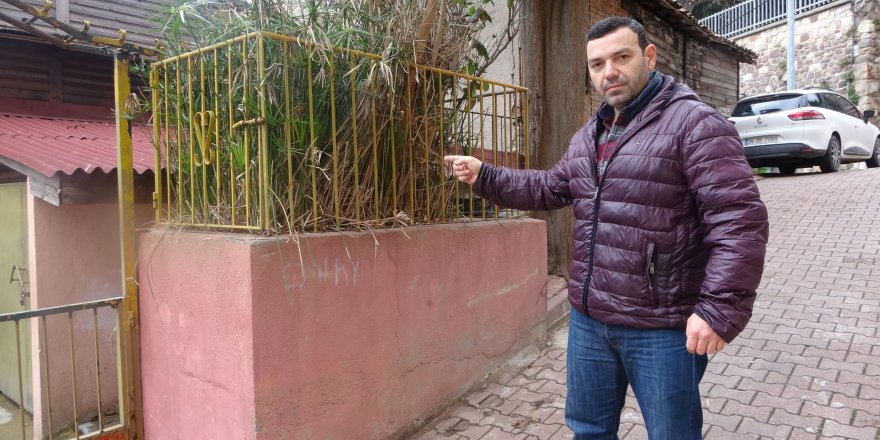 Gizemli türbe merak uyandırıyor