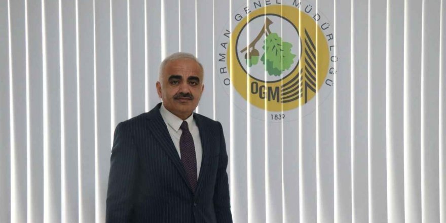 Orman müdürü görevden alındı