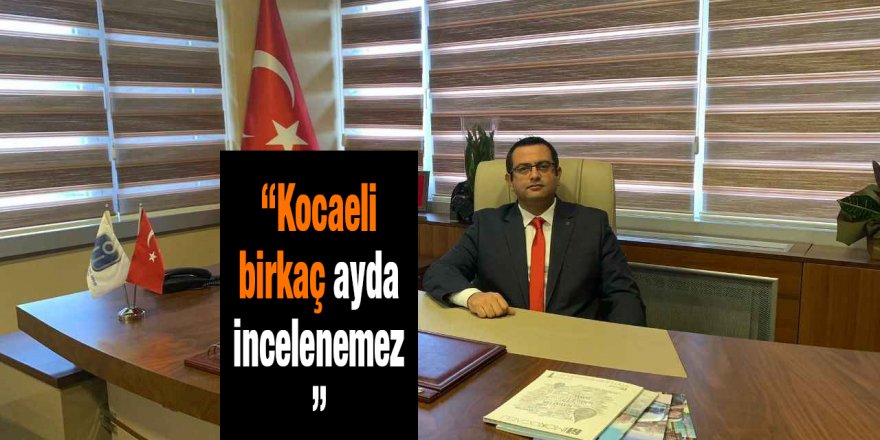 “Kocaeli birkaç ayda incelenemez”