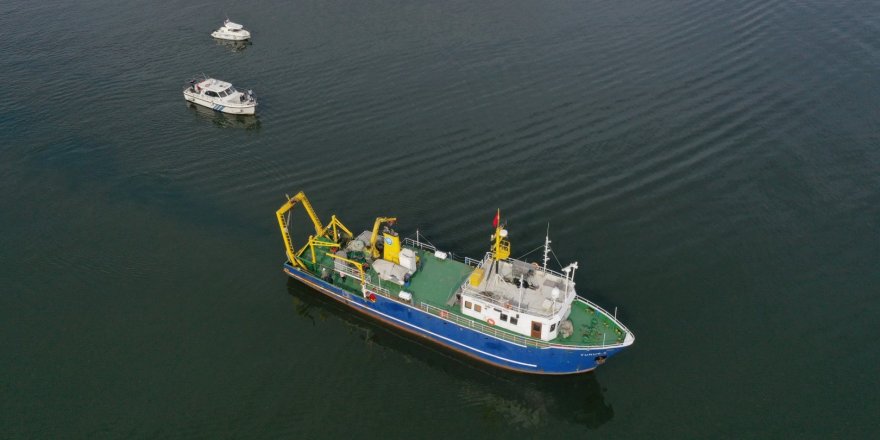 Körfezde biyoçeşitliliğin tespiti yapıldı