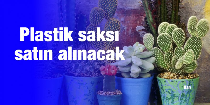 Plastik saksı satın alınacak