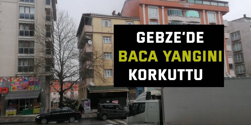 Gebze’de baca yangını korkuttu   