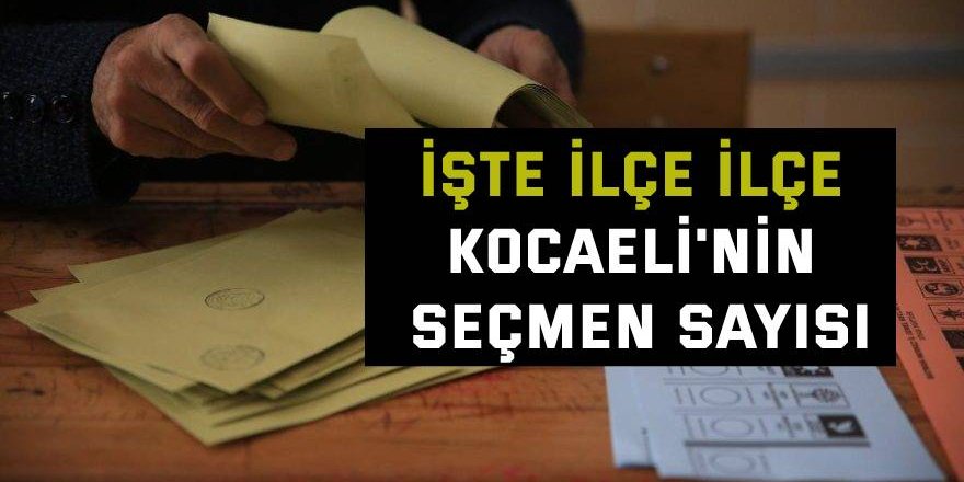 İşte ilçe ilçe Kocaeli'nin seçmen sayısı