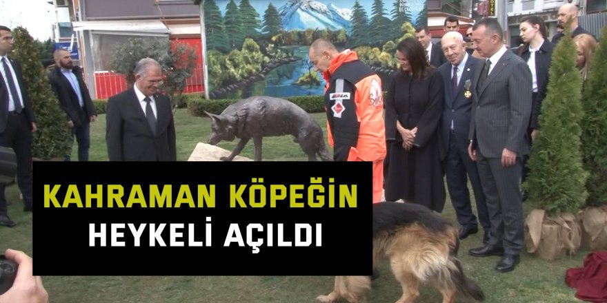 Kahraman köpeğin heykeli açıldı