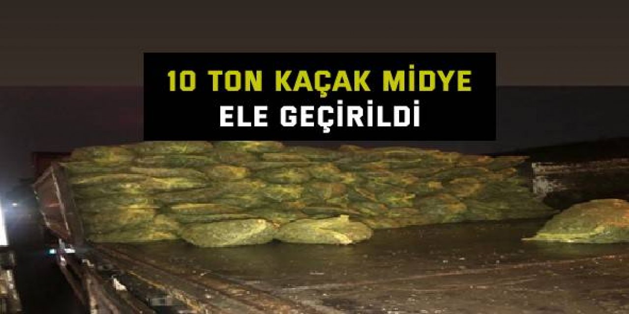 10 ton kaçak midye ele geçirildi