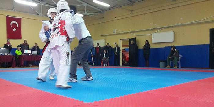 Tekvandoculardan 5 birincilik