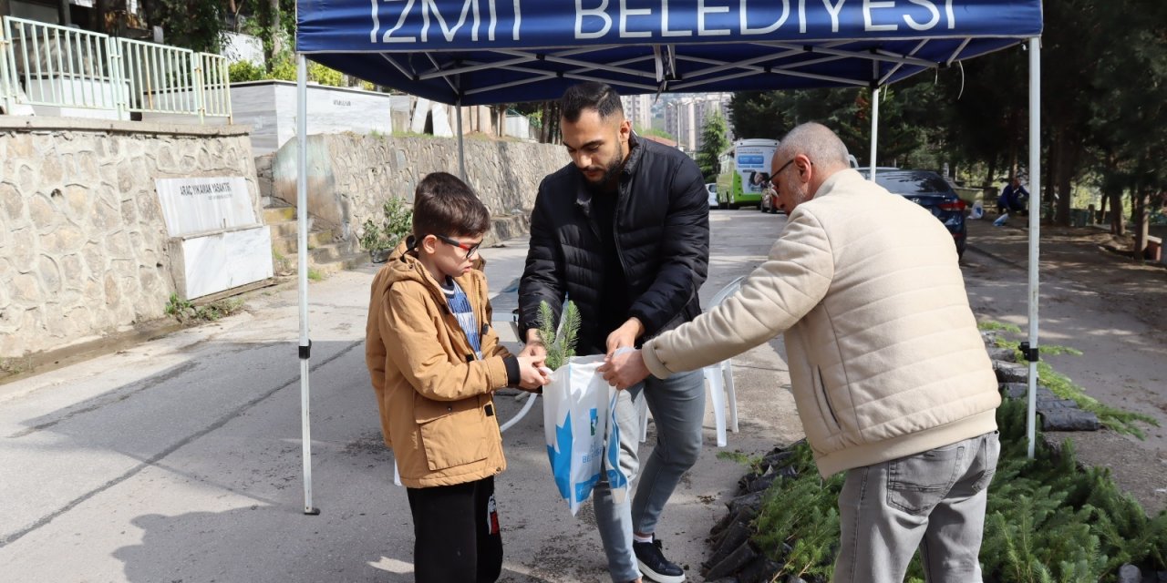 Mezarlıklarda çam fidesi dağıttılar