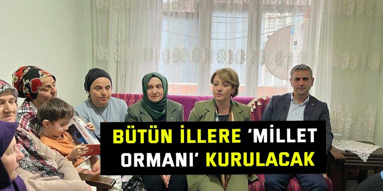 Bütün illere ‘Millet Ormanı’ kurulacak