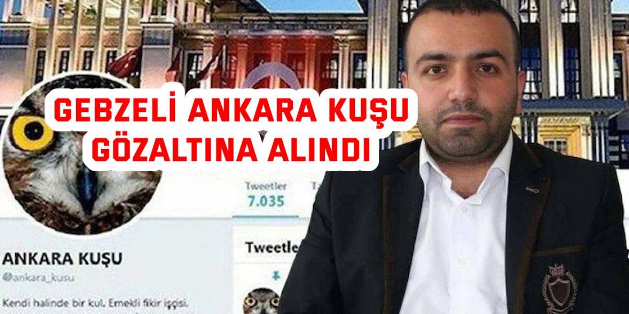 Gebzeli Ankara Kuşu gözaltına alındı