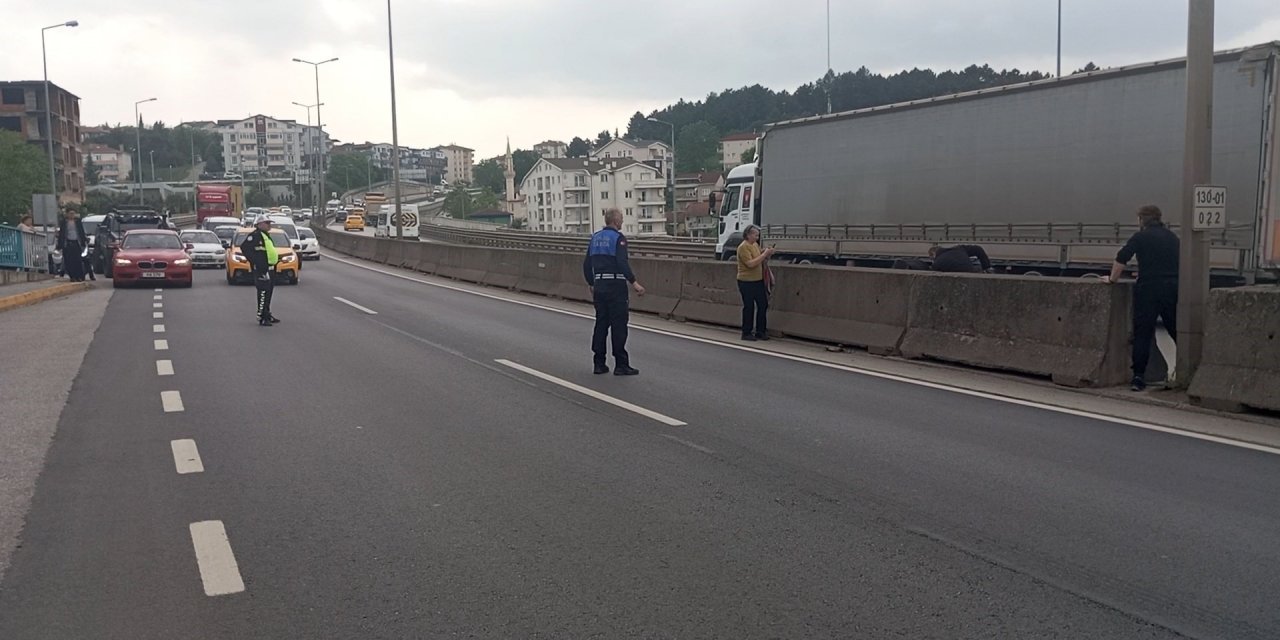 Beton bariyerlere sıkışan kedi için trafiği durdurdular