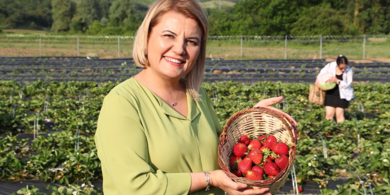 Çilek Köyü’nde ilk hasat