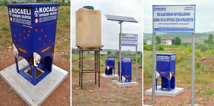 Büyükşehir soğuk havada sokak hayvanlarını unutmadı